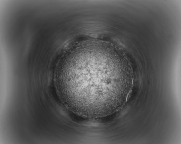 X0000086030656200703301055