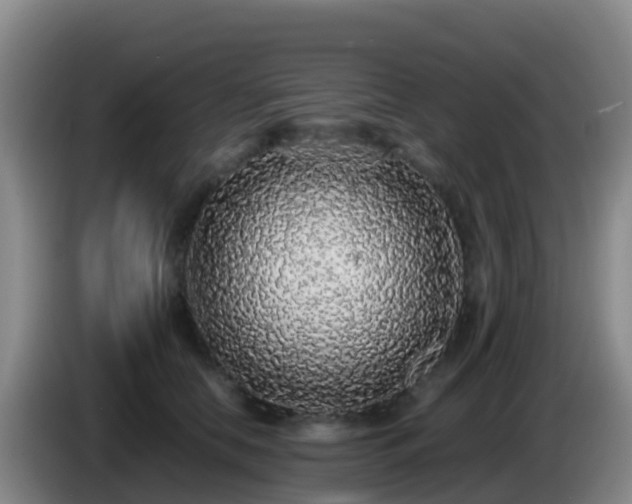 X0000086030658200703301055