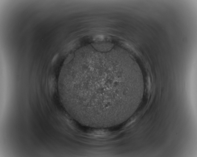 X0000086030659200703301055