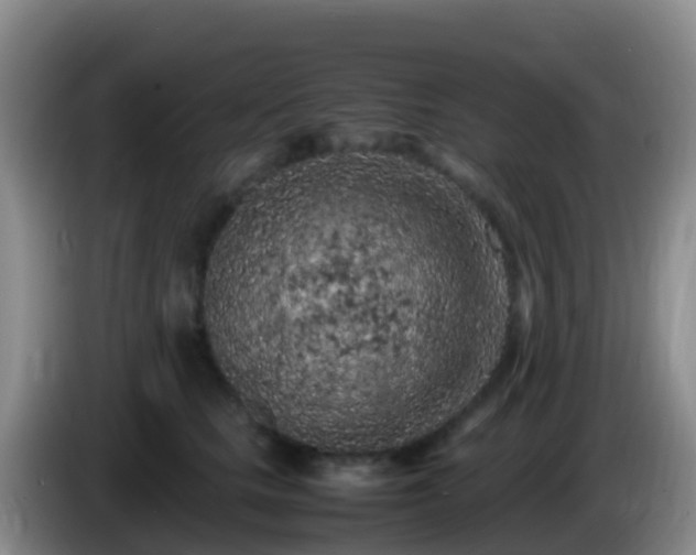 X0000086030661200703301055