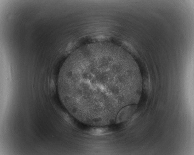 X0000086030662200703301055