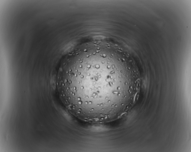 X0000086030666200703301055