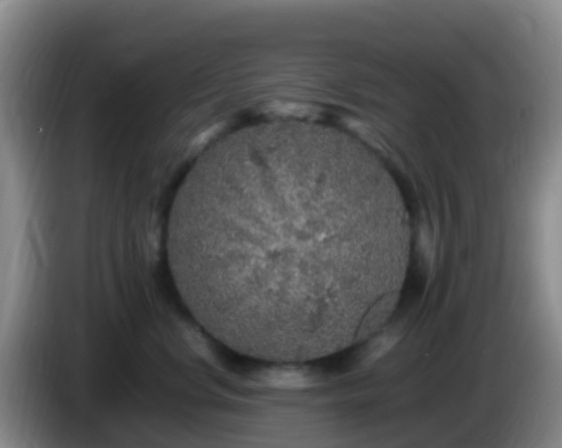 X0000086030668200703301055