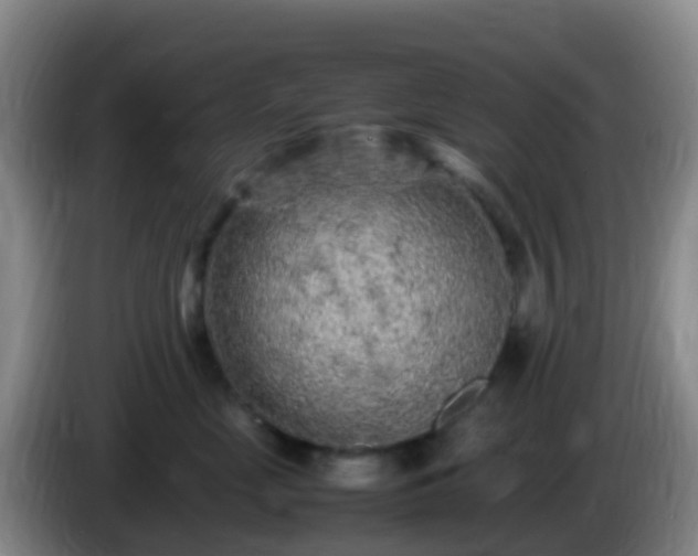 X0000086030669200703301055