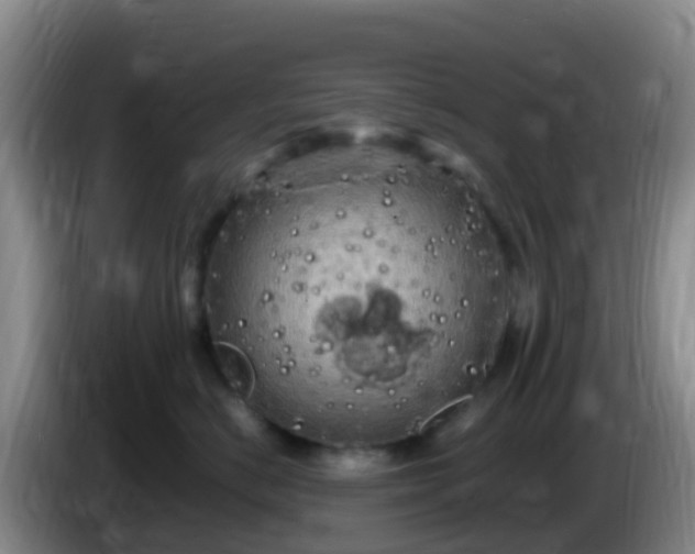 X0000086030670200703301055