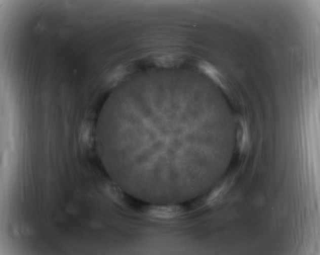 X0000086030671200703301055