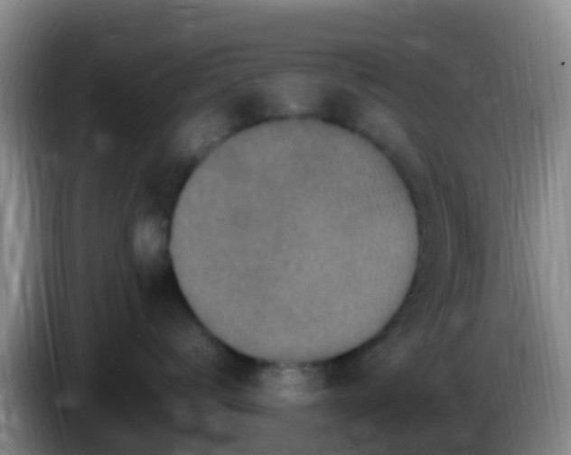 X0000086030672200703301055