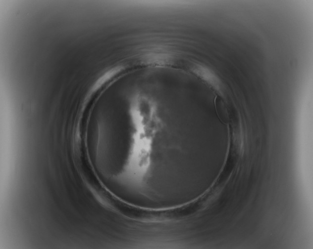 X0000086030674200703301054