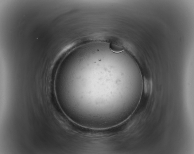 X0000086030675200703301054