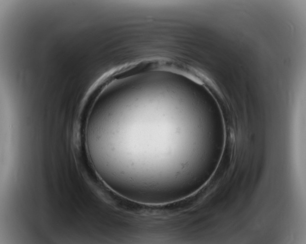 X0000086030676200703301054