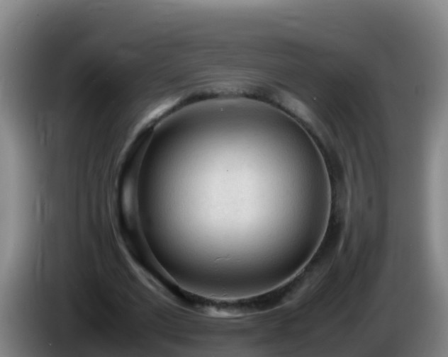 X0000086030677200703301054