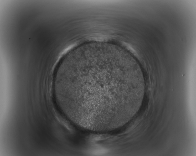 X0000086030679200703301054