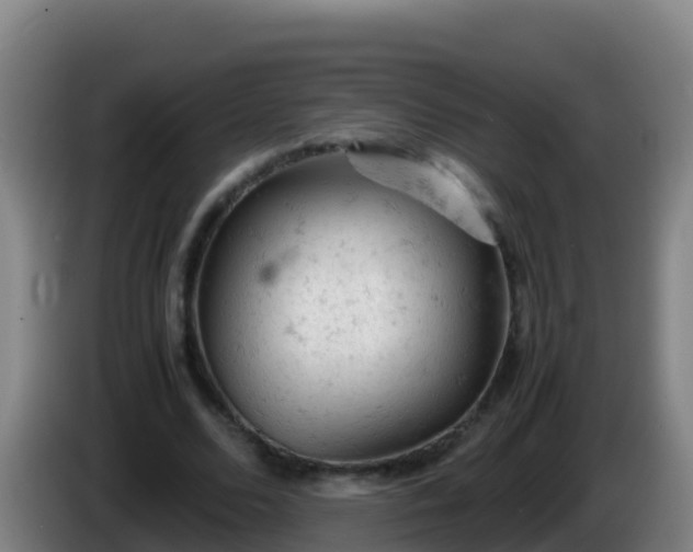 X0000086030680200703301054