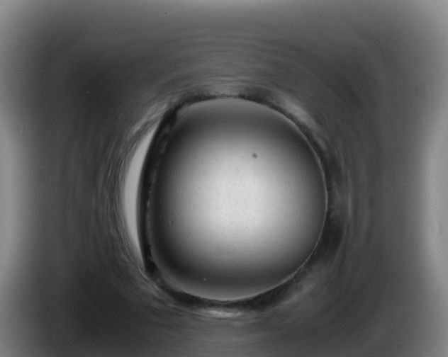 X0000086030681200703301054