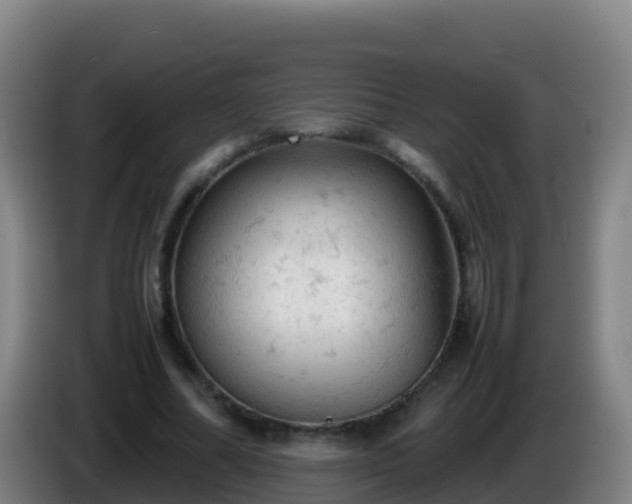 X0000086030682200703301054