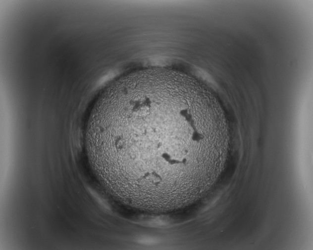 X0000086030683200703301054