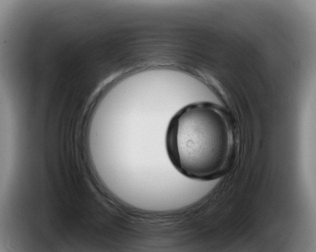 X0000086030684200703301054