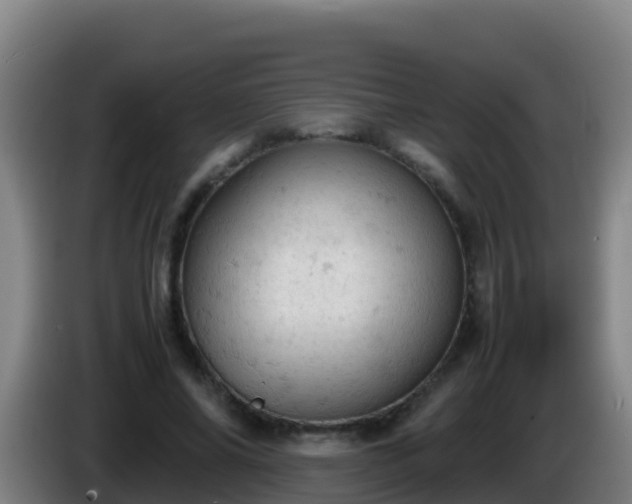 X0000086030686200703301054