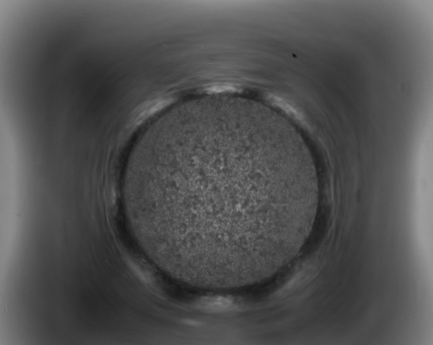 X0000086030687200703301054