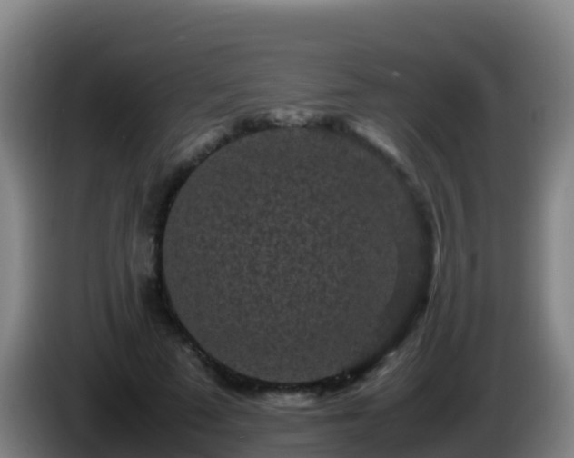 X0000086030689200703301054