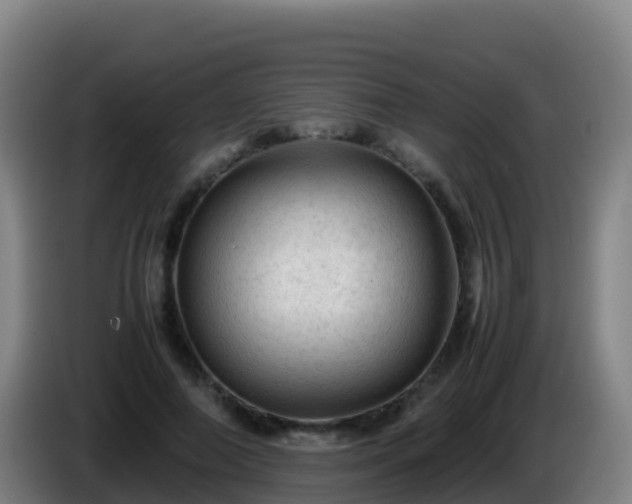 X0000086030690200703301054