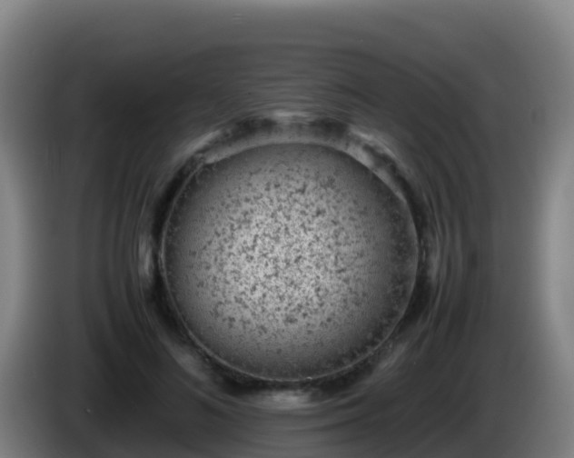 X0000086030692200703301054