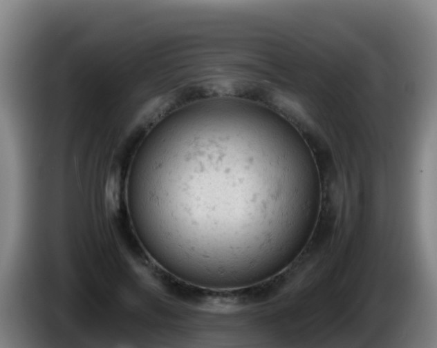 X0000086030694200703301054