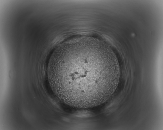 X0000086030695200703301054