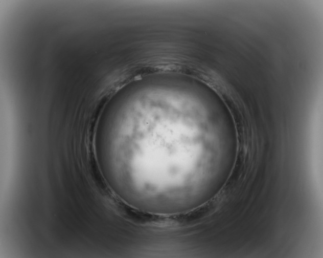 X0000086030696200703301054