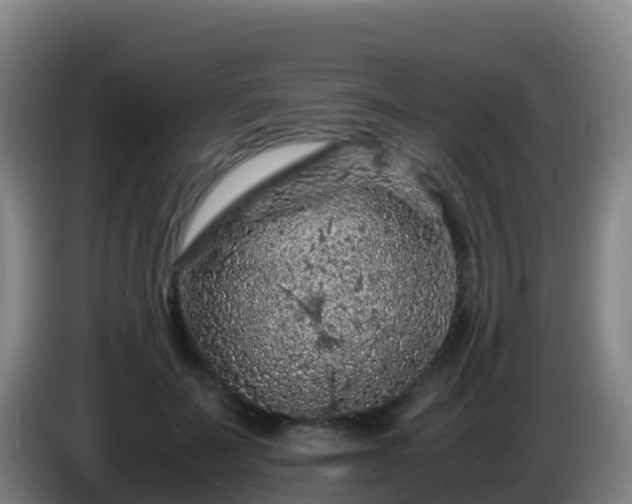 X0000086030699200703301054