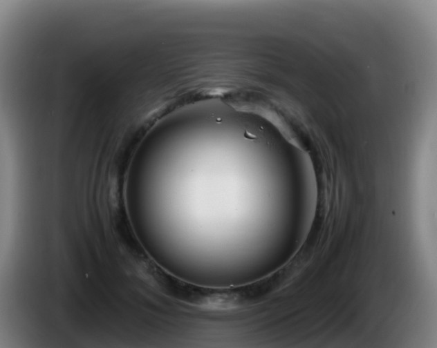 X0000086030700200703301054