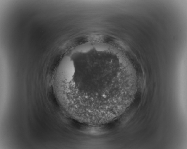 X0000086030701200703301054