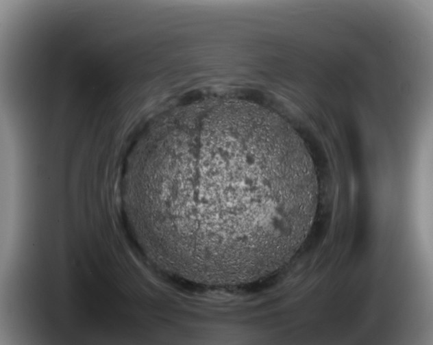 X0000086030703200703301054