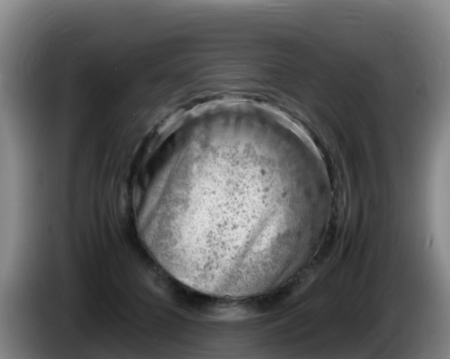 X0000086030704200703301054