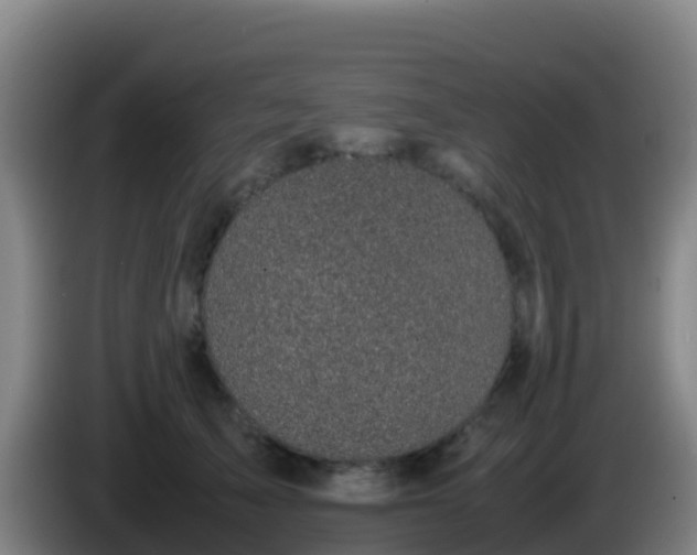 X0000086030705200703301054