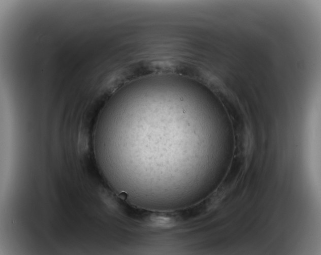 X0000086030706200703301054