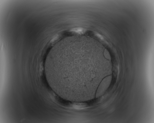 X0000086030707200703301054