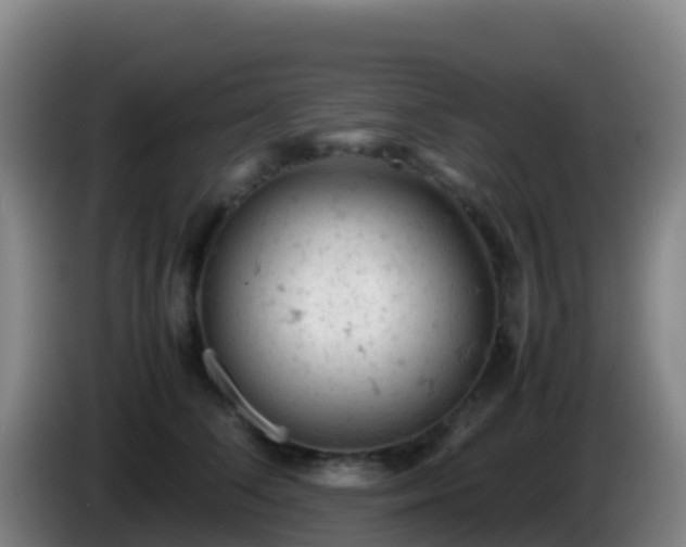 X0000086030708200703301054