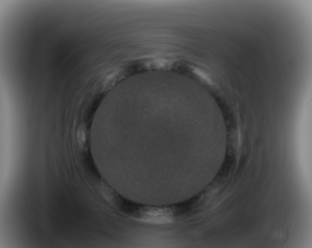 X0000086030709200703301054