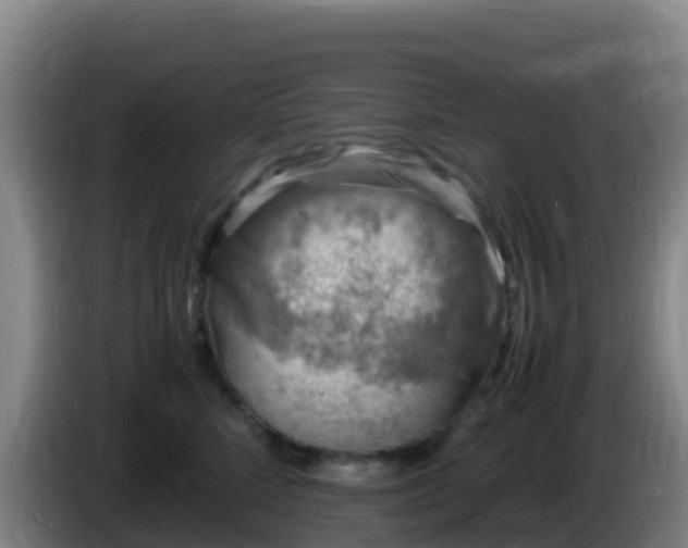 X0000086030712200703301054