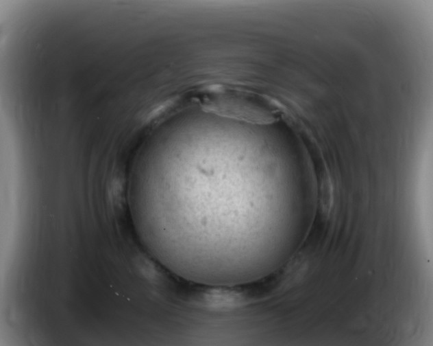 X0000086030714200703301054