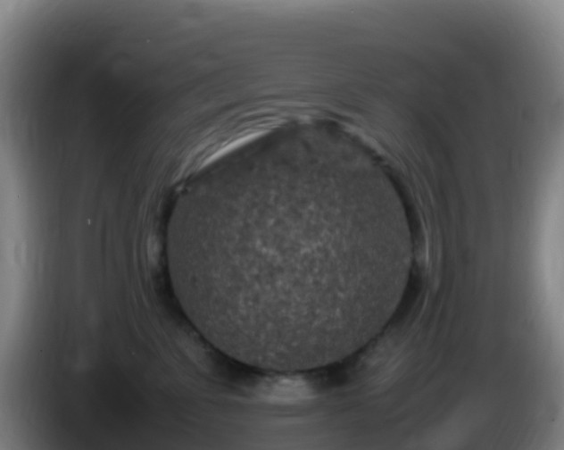 X0000086030715200703301054