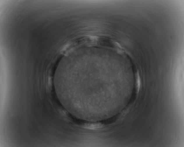 X0000086030716200703301054