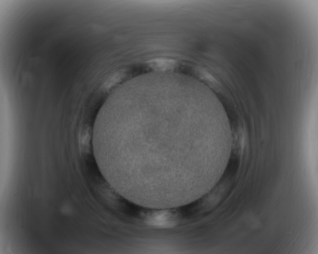 X0000086030717200703301054