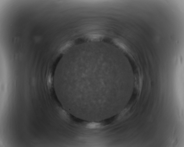 X0000086030718200703301054