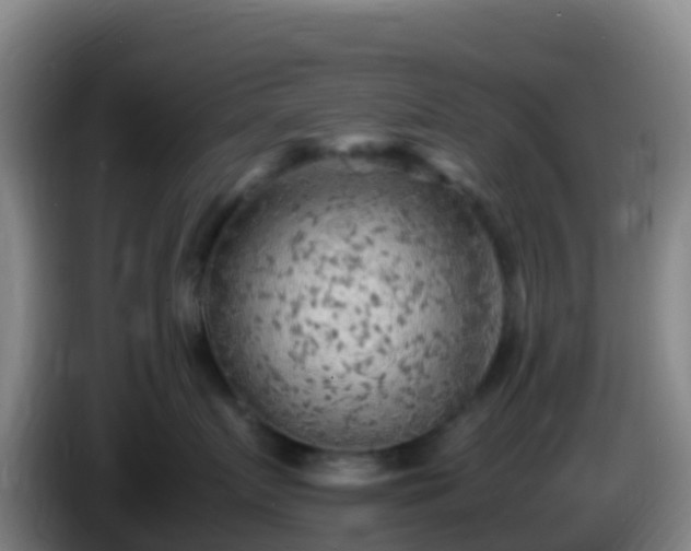 X0000086030719200703301054