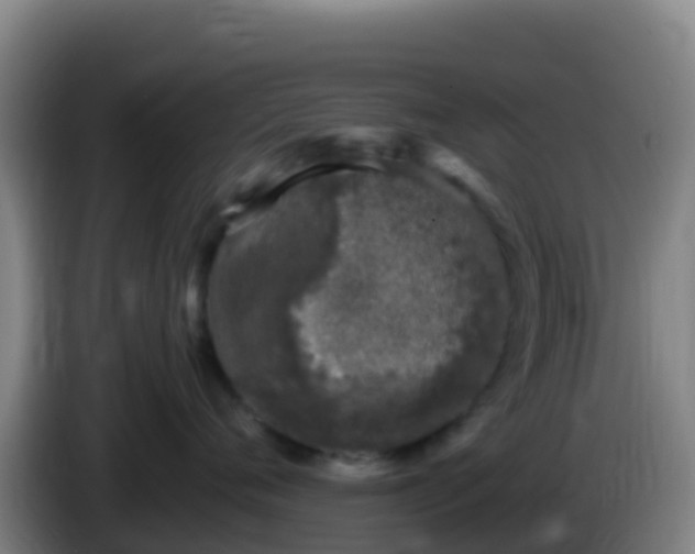 X0000086030720200703301054