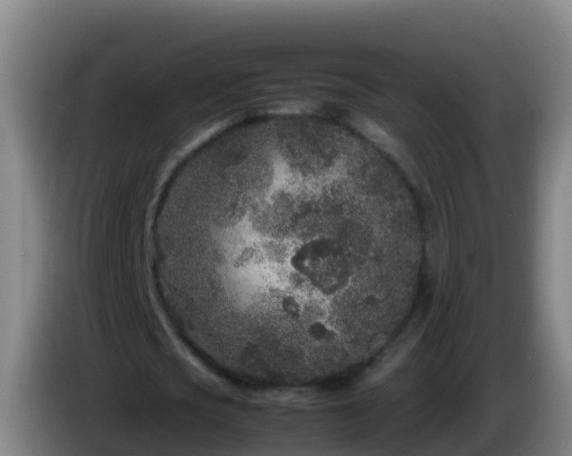 X0000086030721200703301053