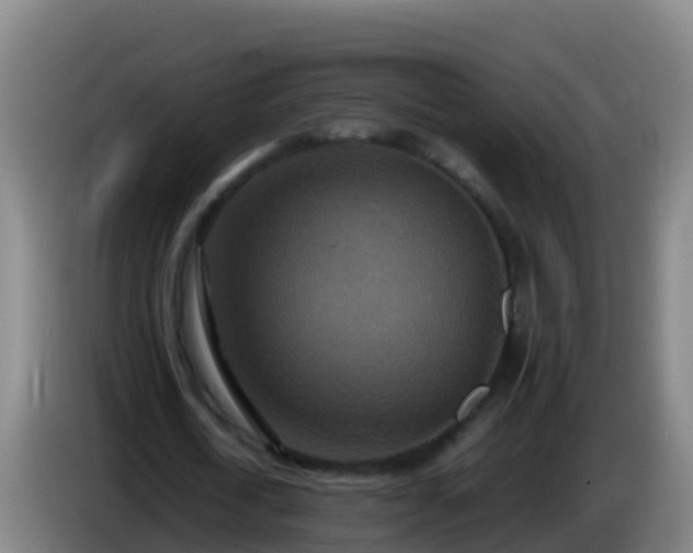 X0000086030722200703301053