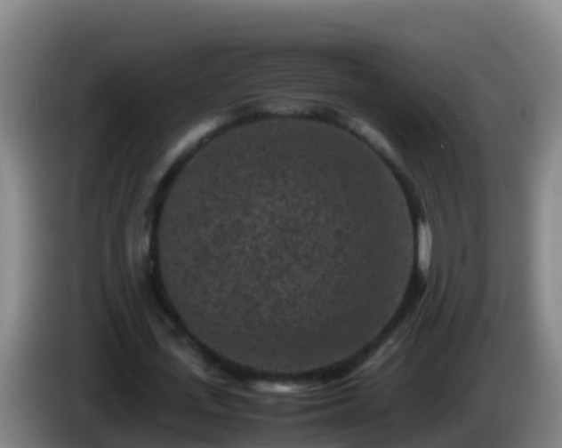 X0000086030723200703301053